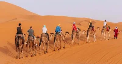 Фото Пустыни Сахара в HD качестве