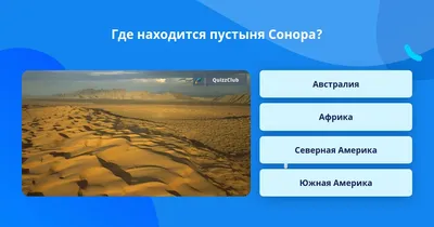 Пустыня Сонора: удивительные пейзажи и уникальная флора и фауна