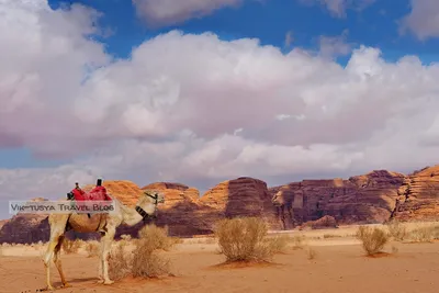 Пустыня Вади Рам: красивые фотографии для скачивания