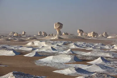 Откройте для себя красоту пустыни: фотоистория