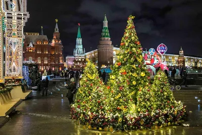 Путешествие в рождество фотографии