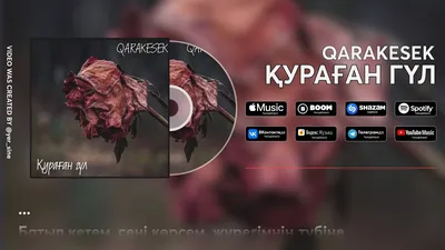 Уникальное фото qarakesek для скачивания в webp