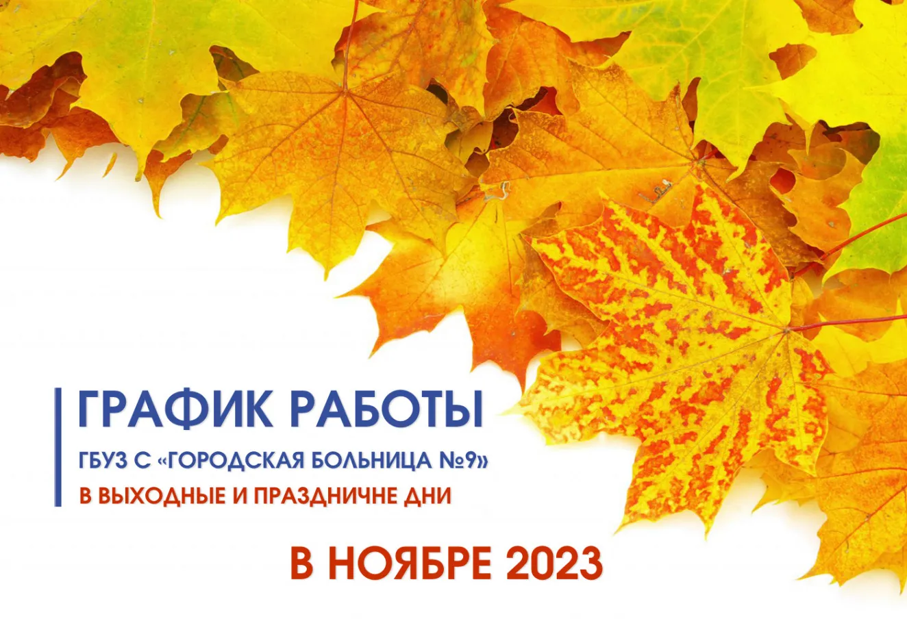 Фото: суббота - день для релаксации и отдыха | Работа в субботу картинки  Фото №2337967 скачать