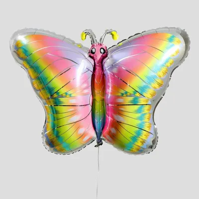 Удивительная фотография радужной бабочки в высоком разрешении