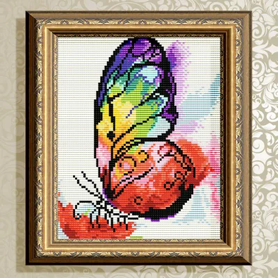 Фото радужной бабочки на печать в высоком качестве