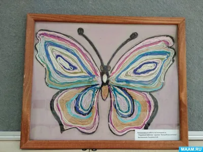 Фотография радужной бабочки с возможностью выбора формата