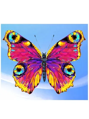 Изображение радужной бабочки для использования на личном блоге