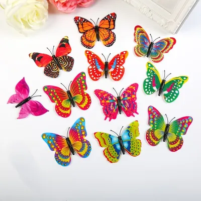 Картинка радужной бабочки для скачивания в формате PNG с выбором размера