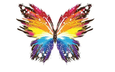 Интересное фото радужной бабочки на фоне природы с возможностью выбора размера