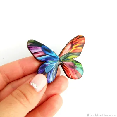 Картинка радужной бабочки для скачивания в формате JPG на веб-сайт