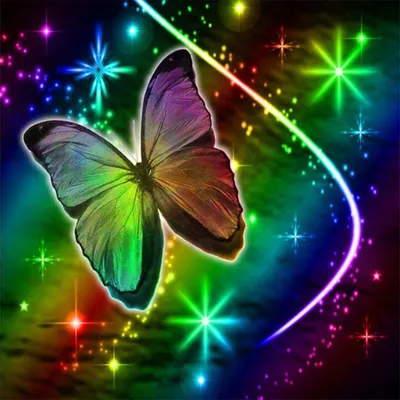 Фото радужной бабочки на печать в высоком качестве для использования в дизайне