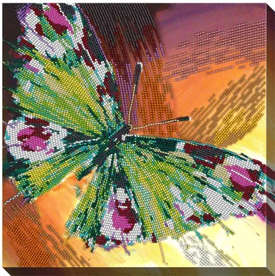 Фотография радужной бабочки для использования в коммерческих целях на фото