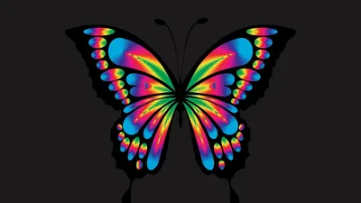 Фотография яркой радужной бабочки для использования в дизайне и печати с возможностью выбора размера