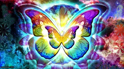 Изображение радужной бабочки в формате PNG для скачивания