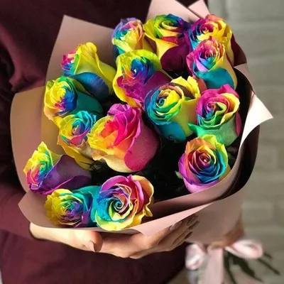 Розы, пленяющие сердца: удивительные фото радужных цветов