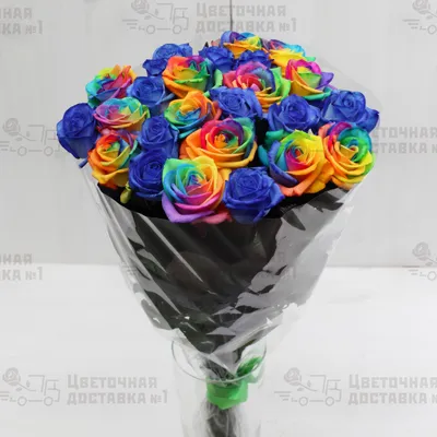 Абсолютная гармония красок: фото радужных роз для истинных ценителей красоты