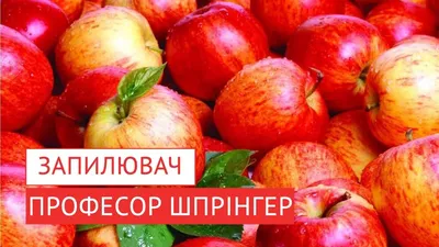 Рисунок с артом райских яблочек в стиле макросъемка