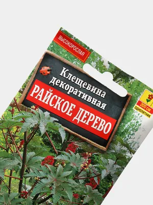 Бесплатное скачивание png изображения райского дерева