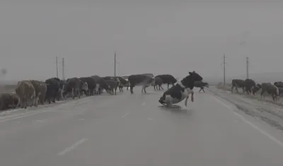 Впечатляющие виды на гору Рак на горе свистит на фото