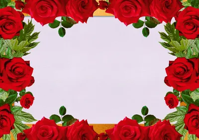 Рамки для розы: выберите размер и формат для скачивания