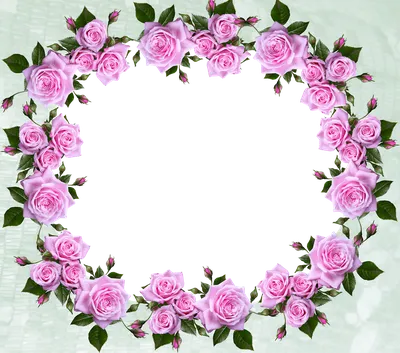 Особенные рамки для розы: наши фото гарантированно украсят ваше изображение
