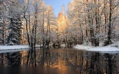 10 Волшебных фотографий Ранней зимы для вашего вдохновения