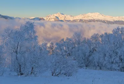 Зимние шедевры: Уникальные кадры Ранней зимы для скачивания