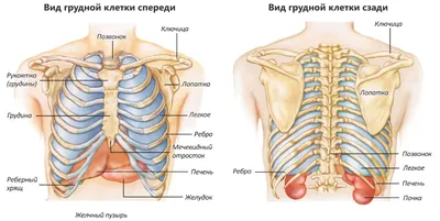 Углубленное изучение: JPG изображение высокого разрешения