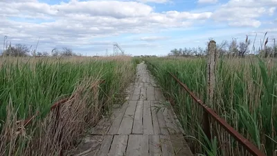 Рассейка пляжа: удивительные виды и кристально чистая вода