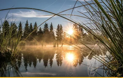 Изображения рассвета на озере в разрешении 4K: бесплатно скачать