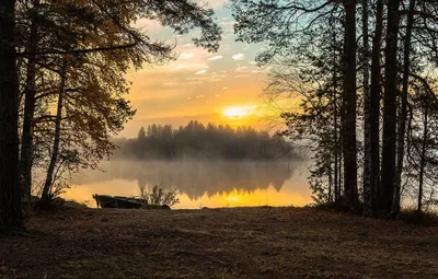Рассвет на озере: волшебное утро в объятиях природы
