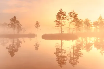 Нежность утреннего света: фото Рассвета на озере