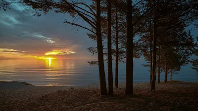 Арт-фото рассвета на озере для бесплатного скачивания