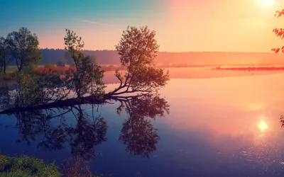 Фотография рассвета на озере в формате gif