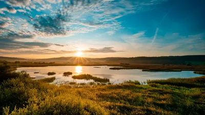 Фотография рассвета на озере: краски утра захвачены в изображении