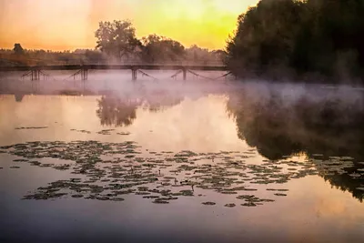 Природное чудо – фотографии рассвета на реке в 4K разрешении