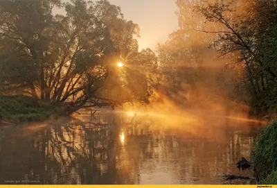 Утренний рассвет на живописной реке
