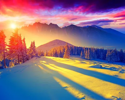 Фото рассвета зимой - выберите размер и скачайте бесплатно в формате JPG