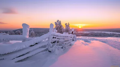 Замерзшая красота: фото рассвета в зимнем лесу