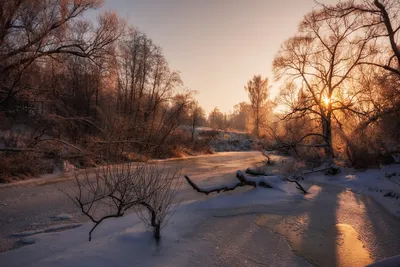 Волшебство утреннего сияния: фотография рассвета зимой