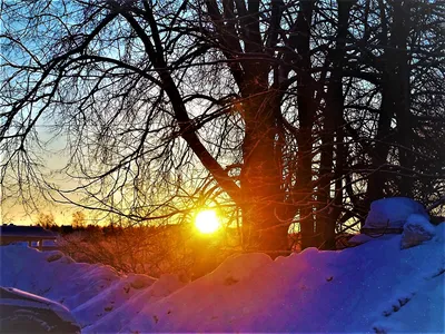 Зимний рассвет: нежность и красота на фотографии
