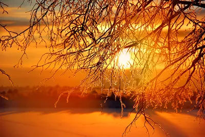 Рисунок рассвета зимой в формате jpg для скачивания.