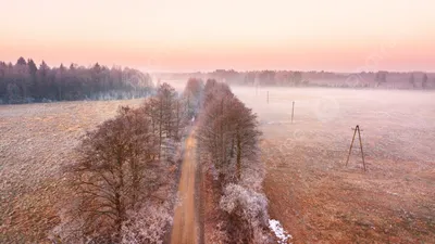 Фото Рассвета весной: картина, которая поражает своей красотой