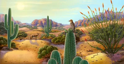 Красочные снимки растений пустыни