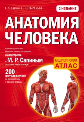 Уникальные фото человеческих органов: формат и размер на ваш выбор