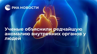 Фото внутренних органов: скачивайте в JPG, PNG, WebP по желанию