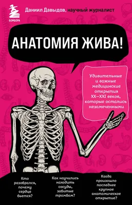 Интерактивные фото внутренних органов: JPG, PNG, WebP для скачивания