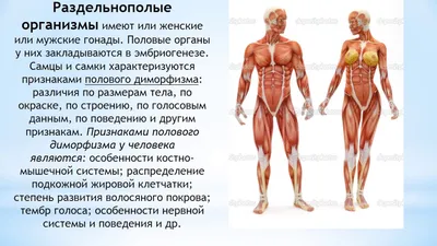 Изобразите размножение: Скачивайте в JPG, PNG, WebP