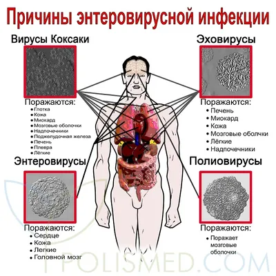 Фотографии размножения в разнообразных размерах