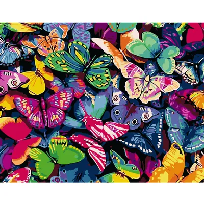 Завораживающие разноцветные бабочки на фото